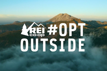 Opt Out Logo