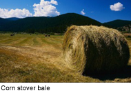 Bale of corn stover.