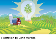 Crop Integration Illustration