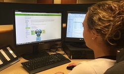 Woman looking at Sustainability Web page on computer screen.