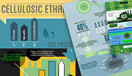 BioenergizeME Infographic Collage