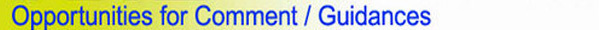 Comments and Guidances