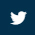 twitter link icon