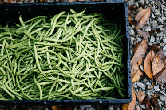 Green beans