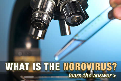 Dropping liquid onto microscope. TEXT: What is the norovirus? Learn more