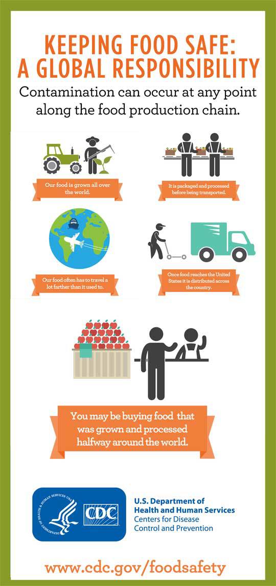 Global food chain illustration.