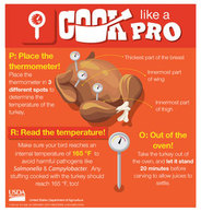 Illustrative graphic on how to use a food thermometer on turkey