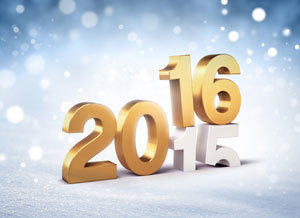 The year 2015
