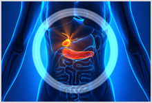 Illustration showing the gallbladder and other parts of the digestive system.