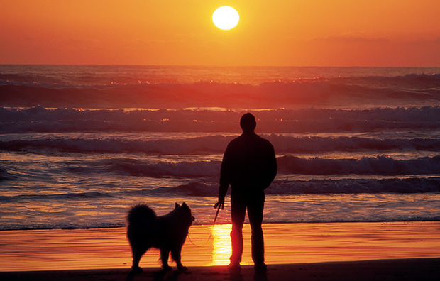 Silhouettes of a man and dog on a beach during sunset.