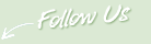 follow us