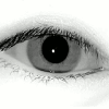 retina image