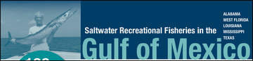 Gulf Snapshot banner