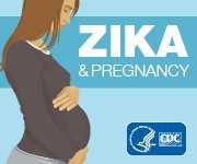 Zika and Pregnancy. CDC logo. Illustration of pregnant woman.