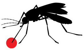 Image: Mosquito silhouette in black