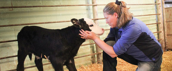 Dr. Jennafer Glaesemann treats a patient