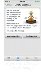 Image of the Mindful Breathing application running on an iPhone