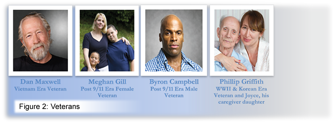 Figure 2: Veterans