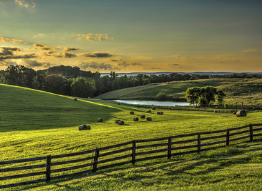Loyalty Road Farm, photo by Roger Lancaster