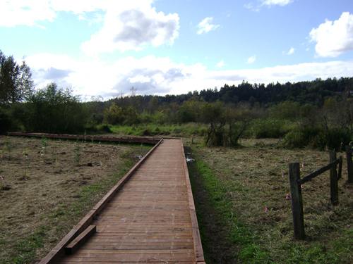 AEP Boardwalk Progress