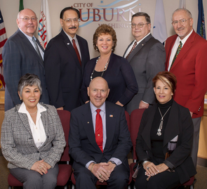 2014 Mayor and City Council