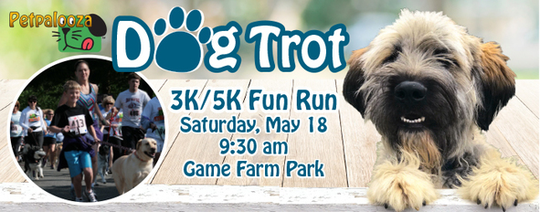 Dog Trot 2019