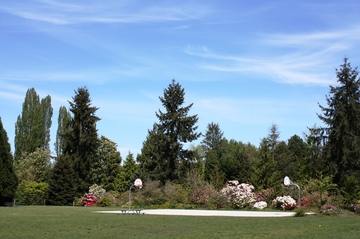 Rhododendron Park