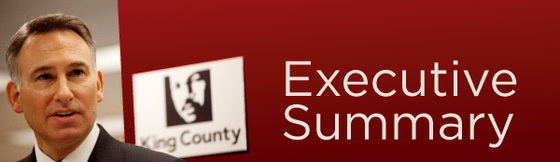 County Executive Banner