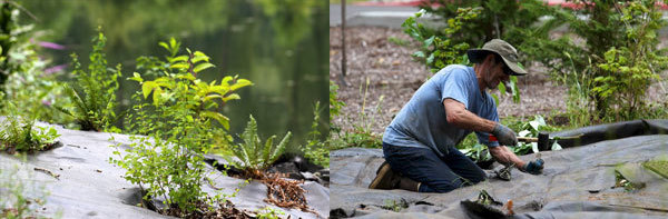 Fall volunteer events