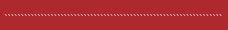 Red Section Divider