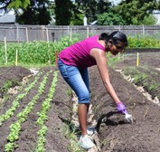 It's Easy Being Green_King County