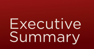 king county executive summary banner image