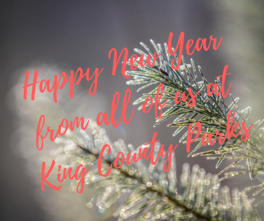 Happy New Year from KCP