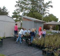 King County Greenhouse photo