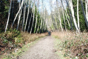 Port Gamble Heritage Park