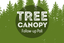 Tree Canopy Poll