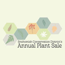 2017 SCD Plant Sale
