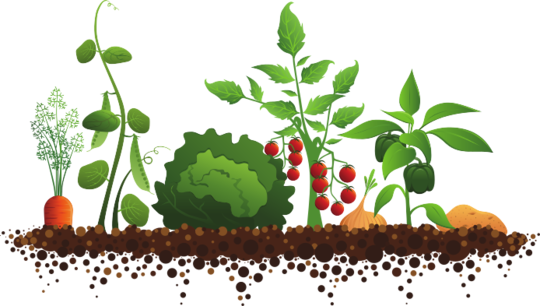 ACF Community Groundworks event