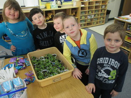 Northland Pines garden lesson