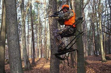 Tree Stand Safety