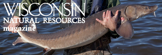 Wisconsin Natural Resources Magazine October Preview