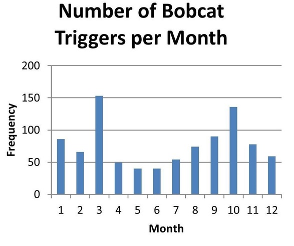 Bobcat Monthly