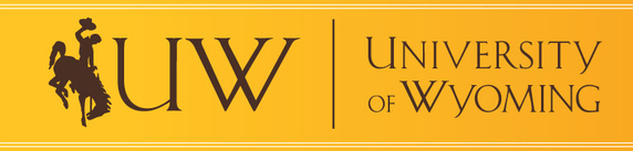 UW yellow banner logo