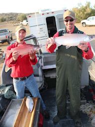 koe joe and travis 2014