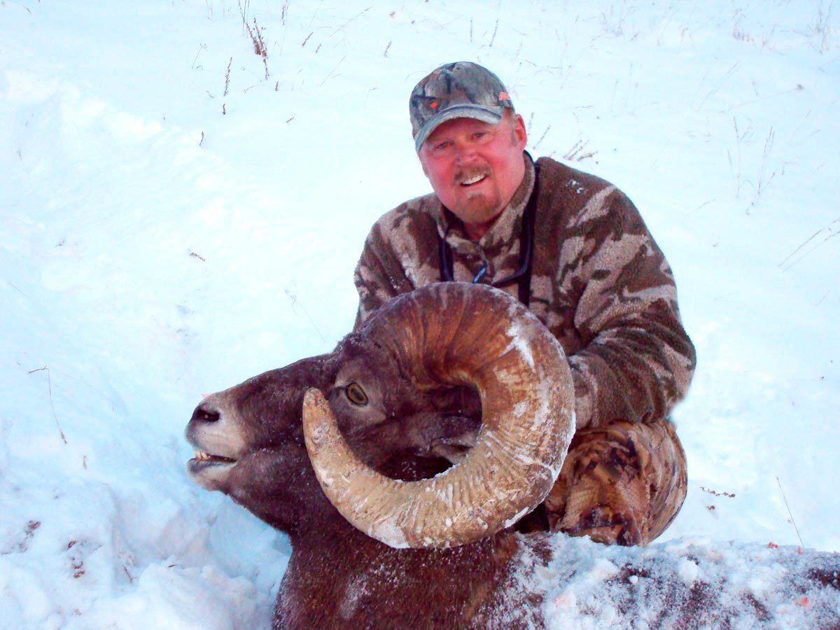 2014 Bighorn Sheep Super Tag Winner
