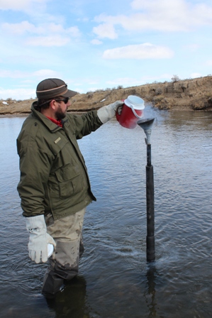 WGFD Matt Hahn flushing flow study