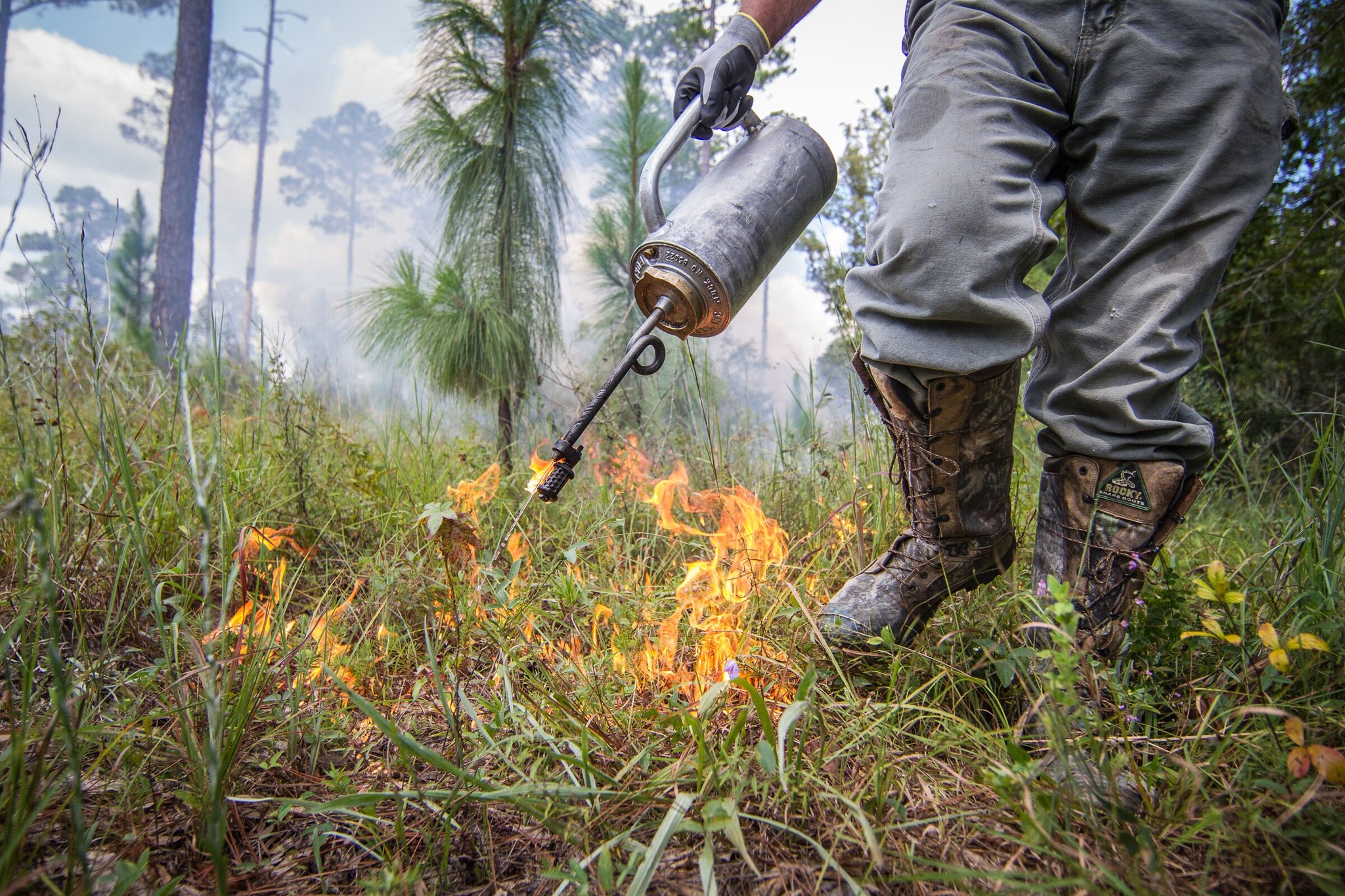 Prescribed burn photo by Billy Pope, ADCNR