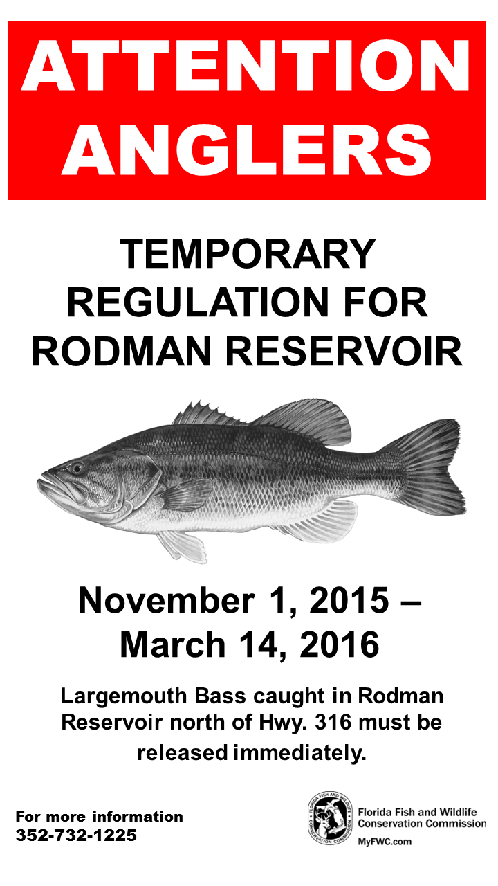 Periodic Rodman Reservoir drawdown has begun