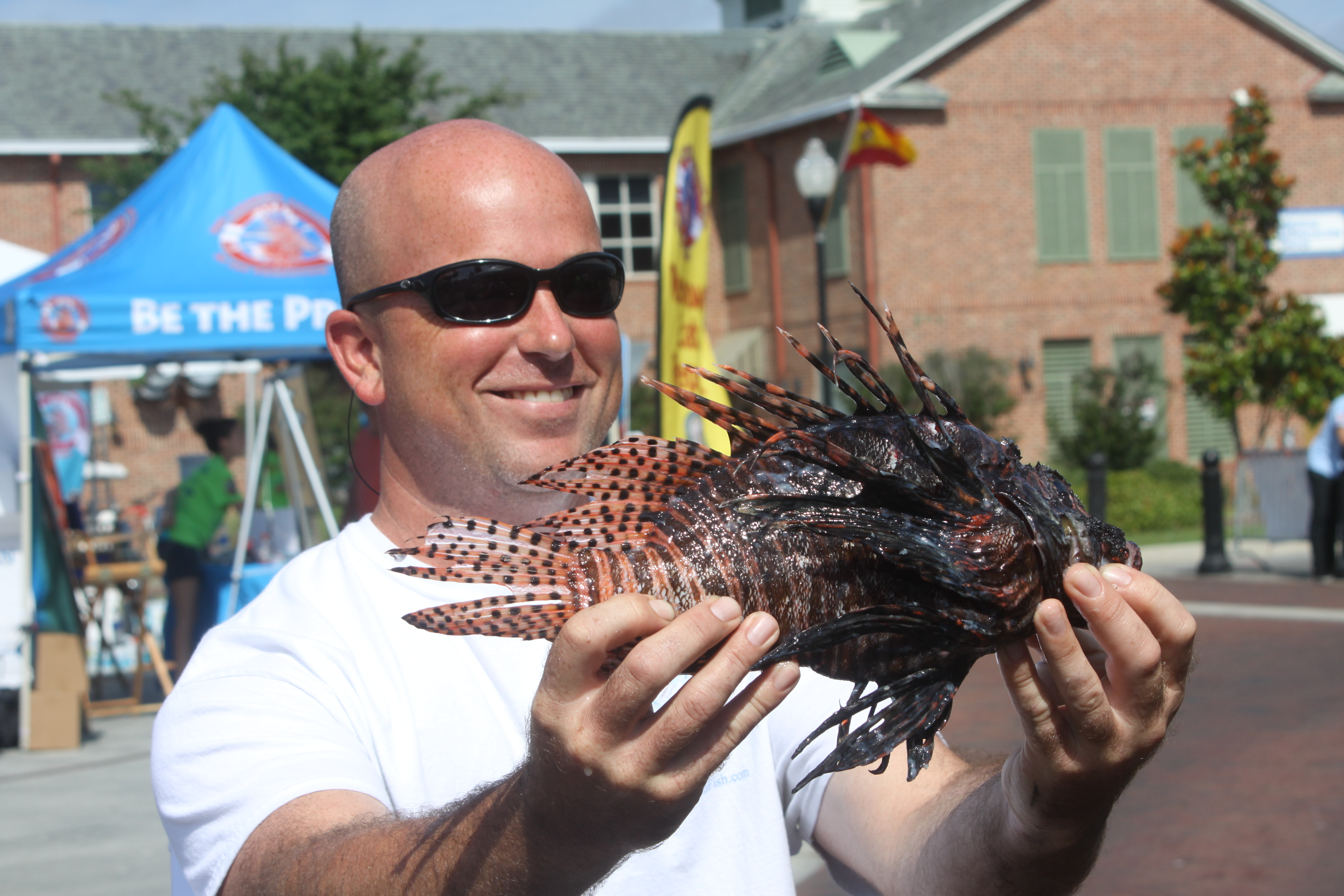 Reef Rangers Reef Rangers website is renovated, ready for more lionfish hunters