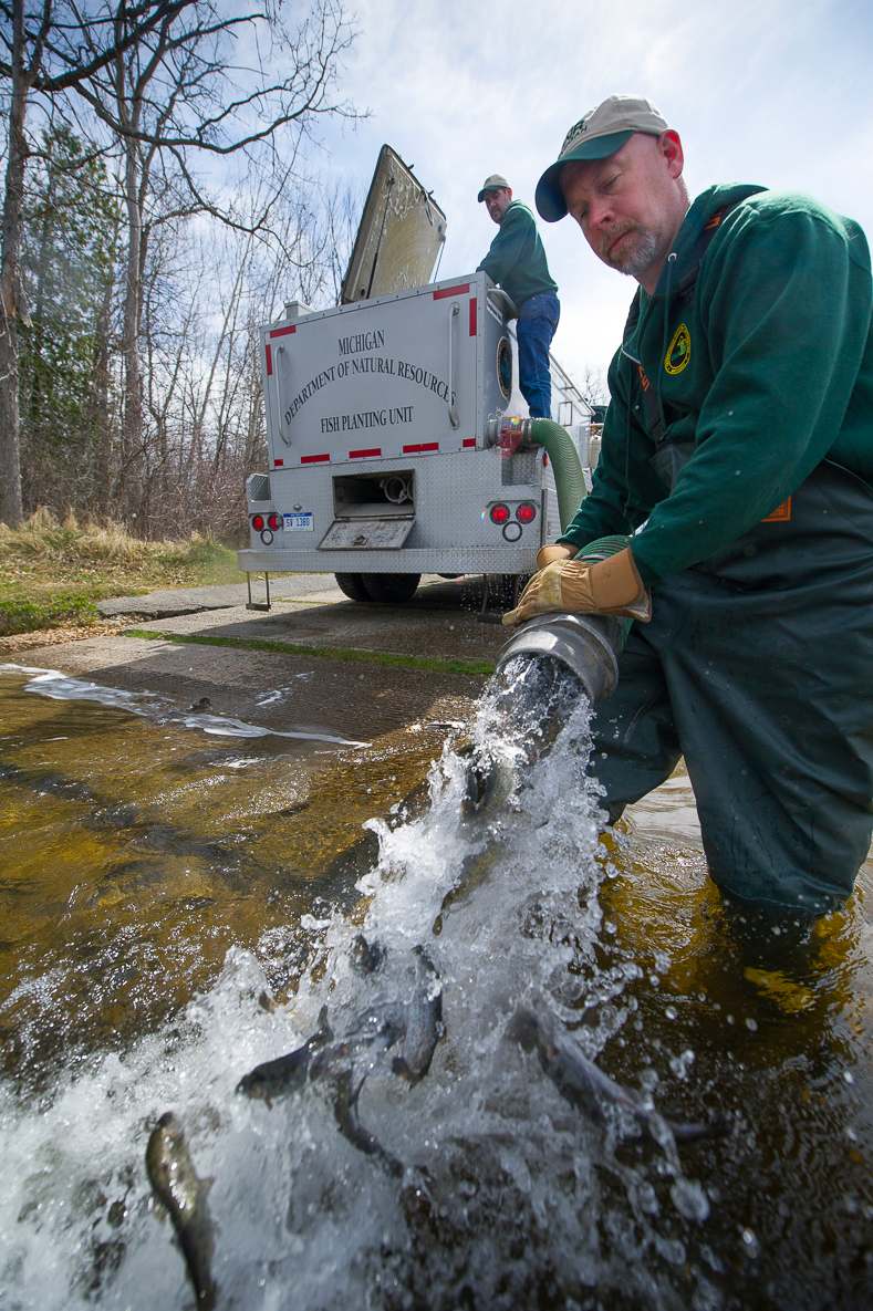 Public meetings on future Lake Michigan salmon stocking scheduled